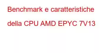 Benchmark e caratteristiche della CPU AMD EPYC 7V13